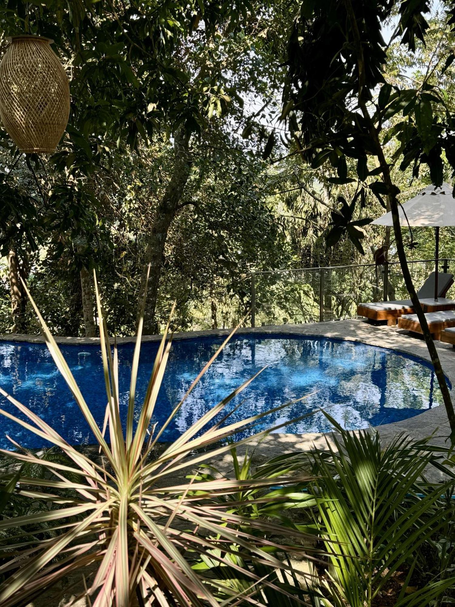 Coastline Mirissa Boutique Hotel And Spa Eksteriør billede